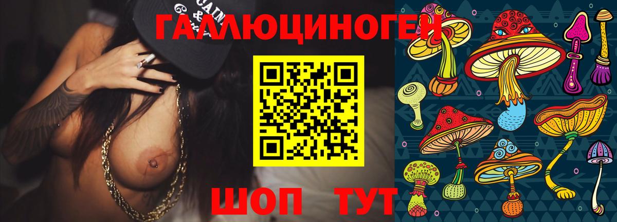 Галлюциногенные грибы Psilocybine cubensis Нижний Новгород